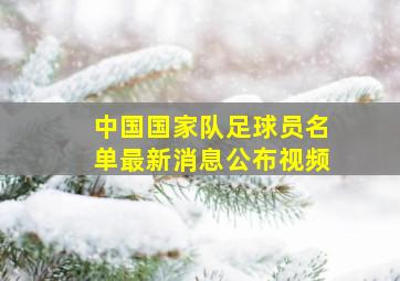 中国国家队足球员名单最新消息公布视频