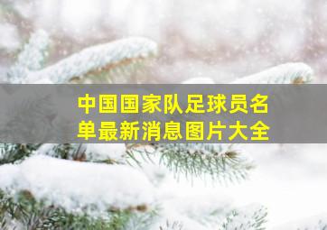 中国国家队足球员名单最新消息图片大全