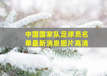 中国国家队足球员名单最新消息图片高清