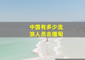 中国有多少流浪人员去缅甸