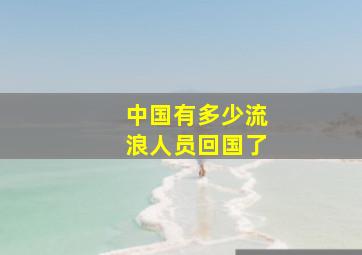 中国有多少流浪人员回国了