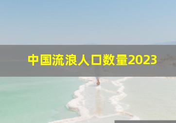 中国流浪人口数量2023