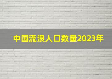 中国流浪人口数量2023年