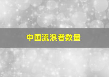 中国流浪者数量