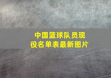 中国篮球队员现役名单表最新图片