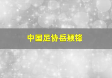 中国足协岳颖锋