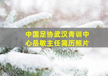 中国足协武汉青训中心岳敏主任简历照片