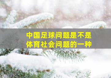 中国足球问题是不是体育社会问题的一种