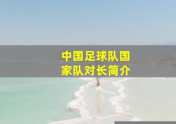 中国足球队国家队对长简介