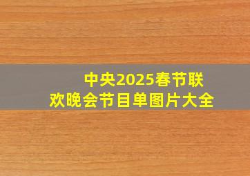 中央2025春节联欢晚会节目单图片大全