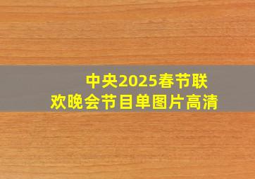 中央2025春节联欢晚会节目单图片高清