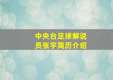 中央台足球解说员张宇简历介绍