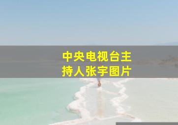 中央电视台主持人张宇图片