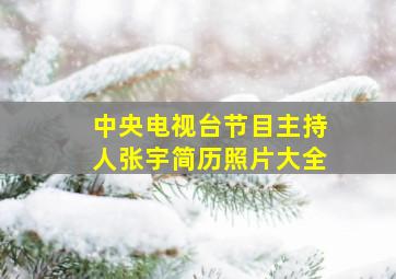 中央电视台节目主持人张宇简历照片大全