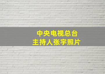 中央电视总台主持人张宇照片