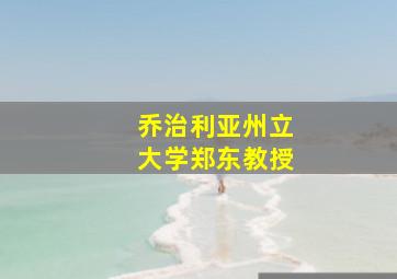 乔治利亚州立大学郑东教授