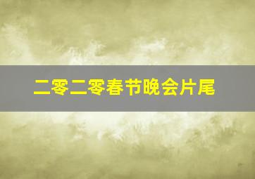 二零二零春节晚会片尾