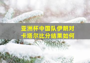 亚洲杯中国队伊朗对卡塔尔比分结果如何