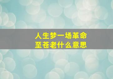 人生梦一场革命至苍老什么意思