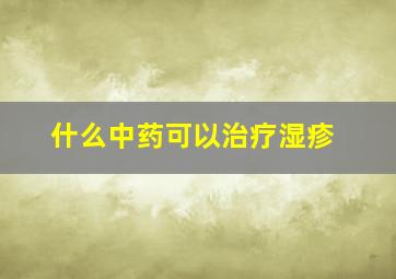 什么中药可以治疗湿疹