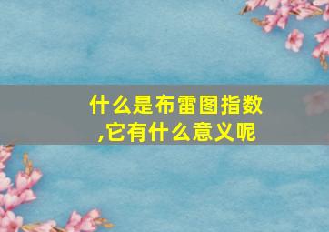 什么是布雷图指数,它有什么意义呢