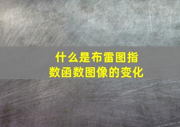 什么是布雷图指数函数图像的变化