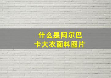 什么是阿尔巴卡大衣面料图片