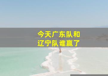 今天广东队和辽宁队谁赢了