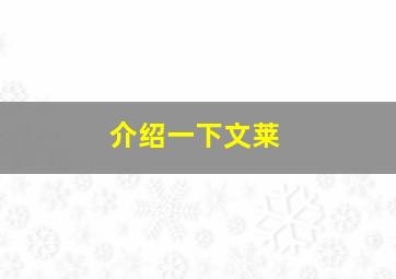 介绍一下文莱