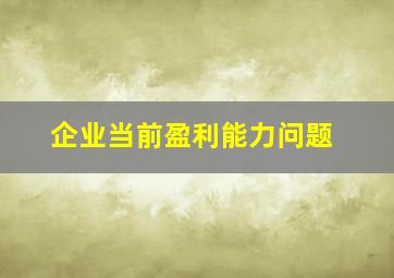 企业当前盈利能力问题