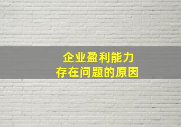 企业盈利能力存在问题的原因