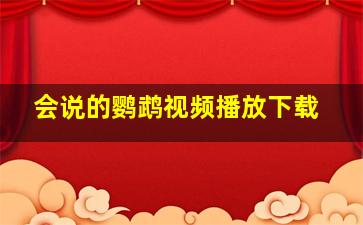 会说的鹦鹉视频播放下载