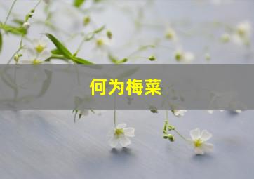 何为梅菜