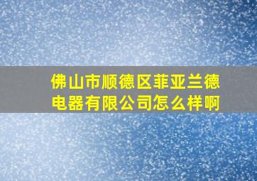 佛山市顺德区菲亚兰德电器有限公司怎么样啊