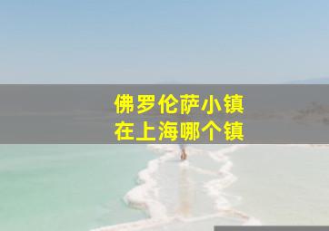 佛罗伦萨小镇在上海哪个镇