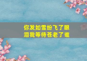 你发如雪纷飞了眼泪我等待苍老了谁