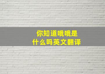 你知道哦哦是什么吗英文翻译