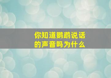 你知道鹦鹉说话的声音吗为什么