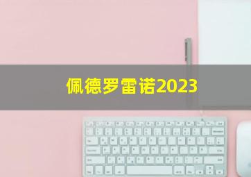 佩德罗雷诺2023