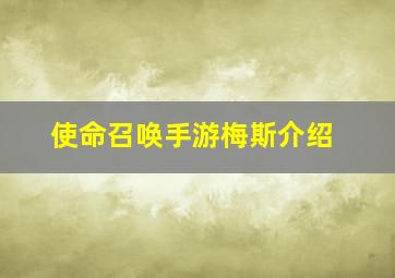 使命召唤手游梅斯介绍