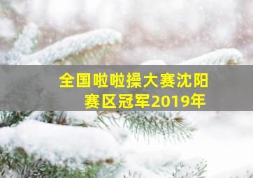 全国啦啦操大赛沈阳赛区冠军2019年