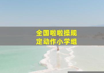 全国啦啦操规定动作小学组