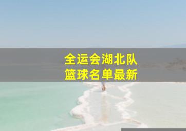 全运会湖北队篮球名单最新