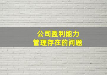 公司盈利能力管理存在的问题