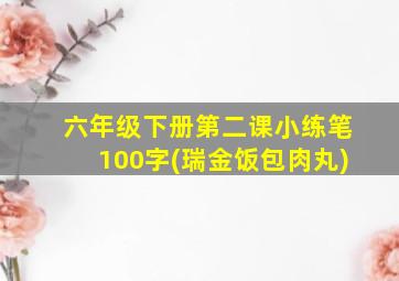 六年级下册第二课小练笔100字(瑞金饭包肉丸)