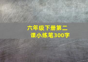 六年级下册第二课小练笔300字