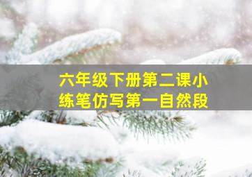 六年级下册第二课小练笔仿写第一自然段