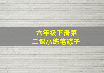 六年级下册第二课小练笔粽子