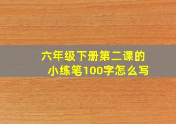 六年级下册第二课的小练笔100字怎么写