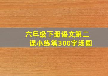 六年级下册语文第二课小练笔300字汤圆